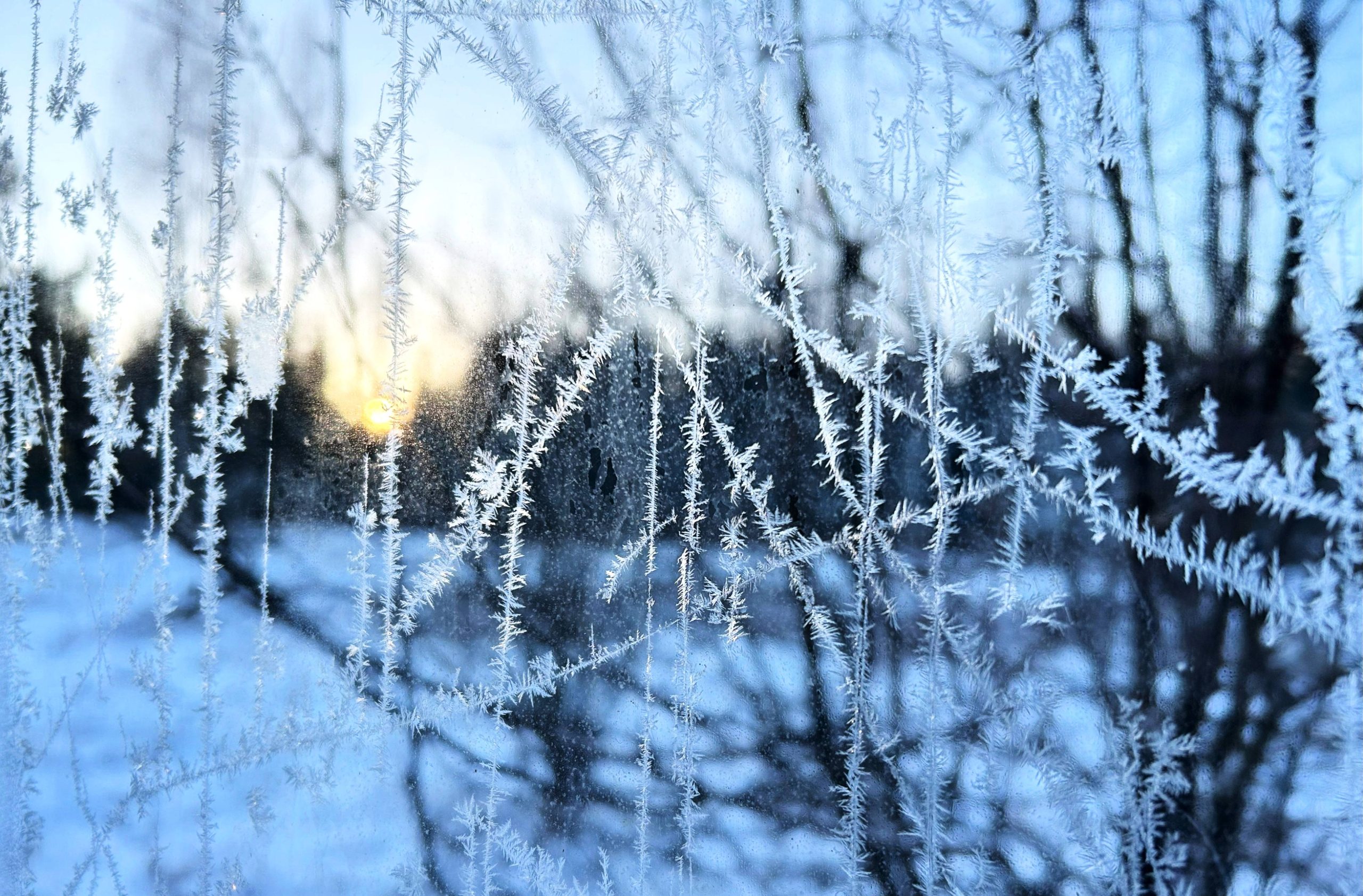 Luuvalupäev